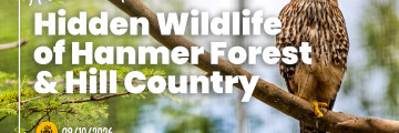 Hidden Wildlife of Hanmer Forest & Hill Country